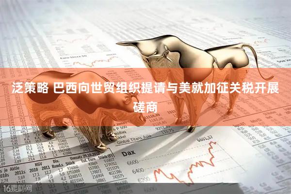 泛策略 巴西向世贸组织提请与美就加征关税开展磋商