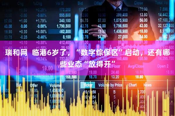 瑞和网  临港6岁了，“数字综保区”启动，还有哪些业态“放得开”