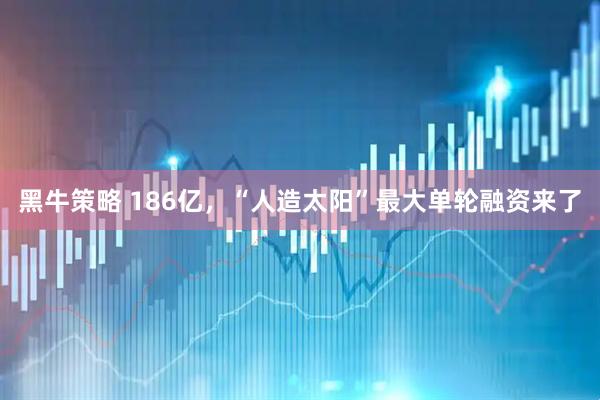 黑牛策略 186亿，“人造太阳”最大单轮融资来了