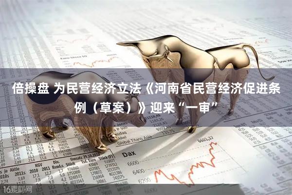 倍操盘 为民营经济立法《河南省民营经济促进条例（草案）》迎来“一审”
