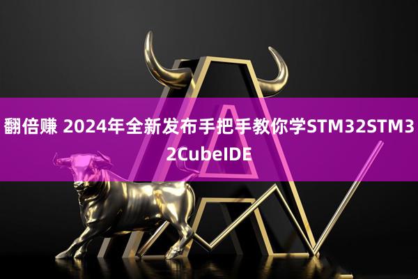 翻倍赚 2024年全新发布手把手教你学STM32STM32CubeIDE