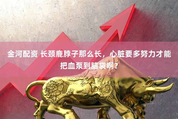 金河配资 长颈鹿脖子那么长，心脏要多努力才能把血泵到脑袋啊？