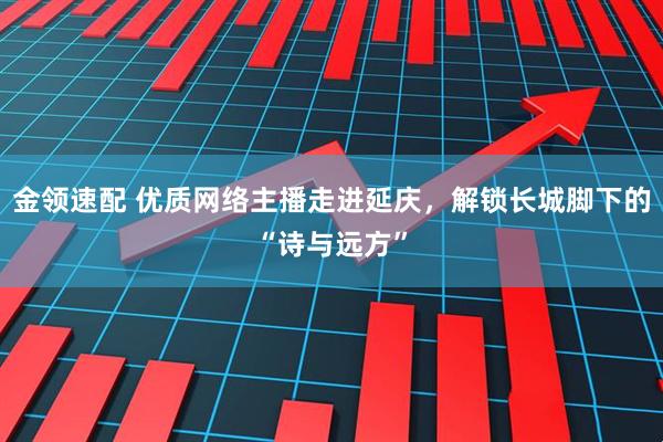金领速配 优质网络主播走进延庆，解锁长城脚下的“诗与远方”