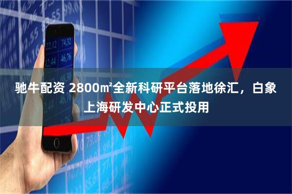 驰牛配资 2800㎡全新科研平台落地徐汇，白象上海研发中心正式投用